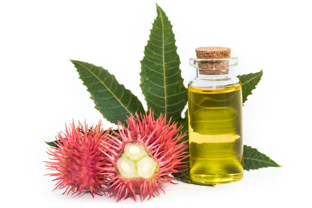 Olio di ricino – composizione della crema Proctonic